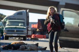 Cassie being hunted