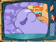 Sea Whelk on TV