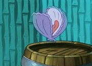 Scallop