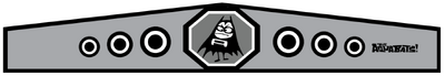 CHARGE Belt