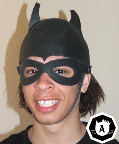 File:Banditprinceofcats.jpg