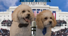 BlitzerandPooper