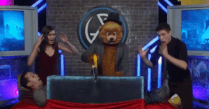 BearSaw