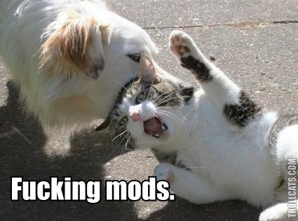 File:Mods.jpg