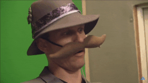 Reaction