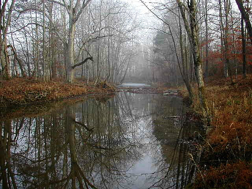 Lower Russell Creek