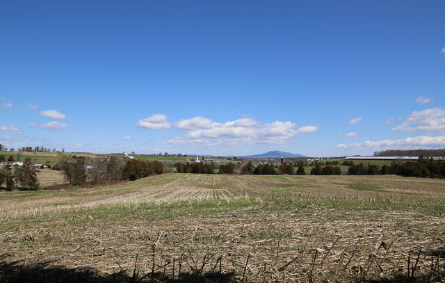 File:846A0300.jpg