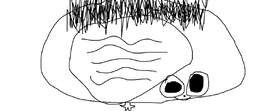 Stefanies brain person