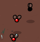 Flies.png