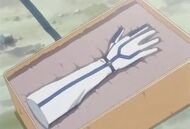 Sanrei Glove