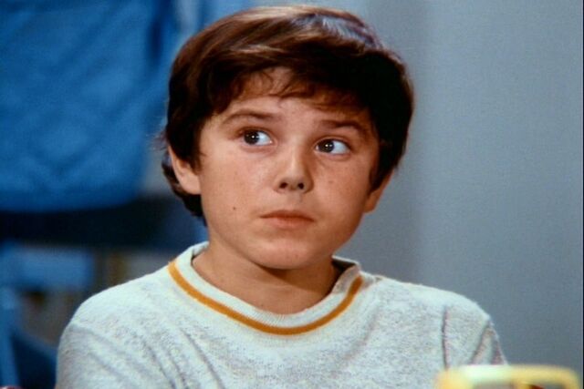 File:Peter-Brady-the-brady-bunch-10937519-720-480.jpg