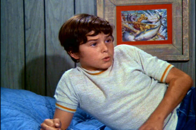 File:Peter-Brady-the-brady-bunch-10937521-720-480.jpg