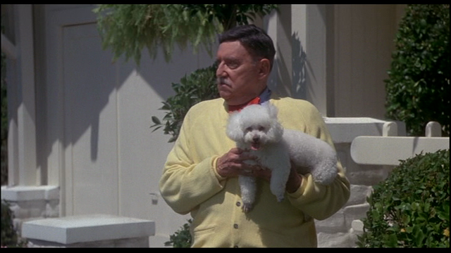 File:Walter.png