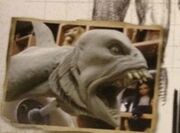 Shark like creature