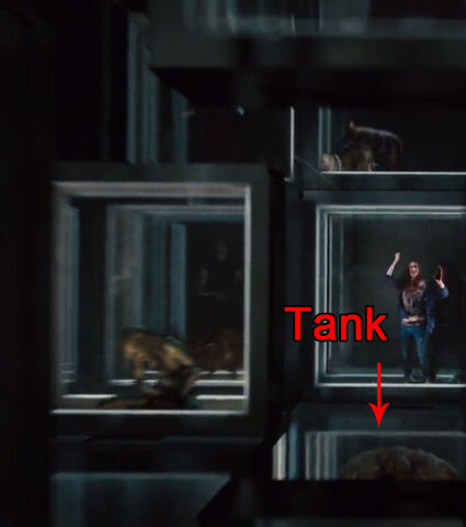 File:Tank.jpg