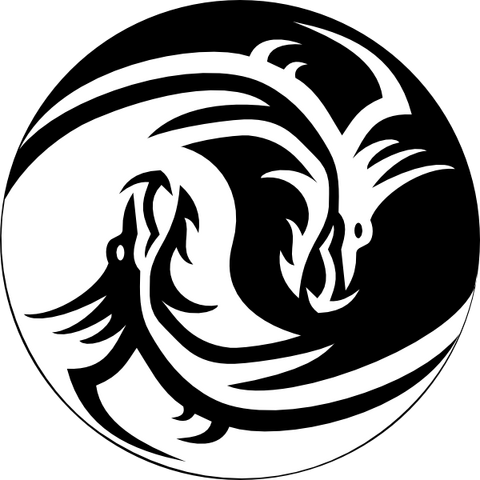 File:Light vs Shadow.png