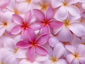 File:58215 wallpaper280.jpg