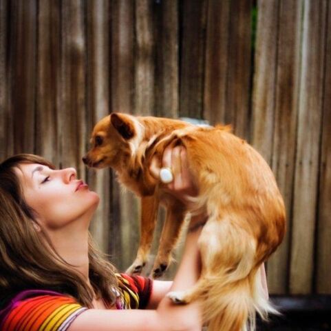 File:Lisipuppy.jpg