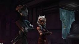Alliance