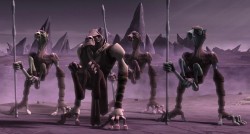 Dug Council