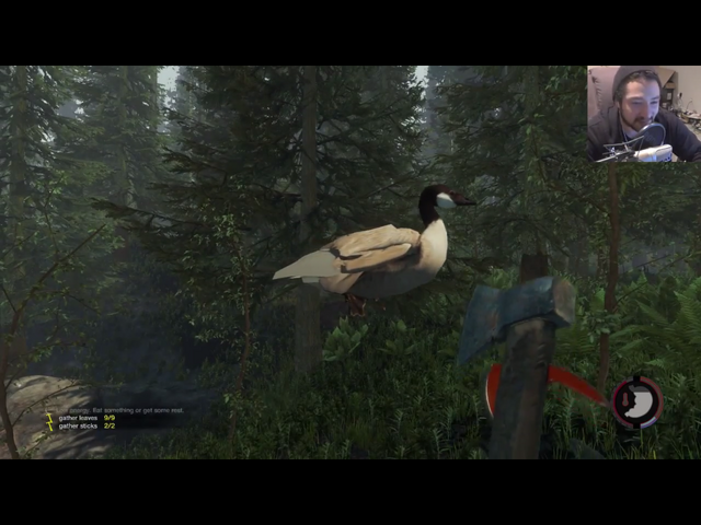 File:Screenshot (45).png