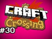 Craftcrossing
