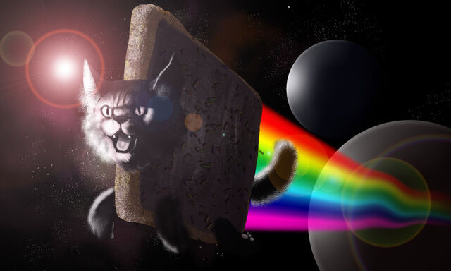 File:Nyan cat timelapse by kingaby-d3dygfa.jpg
