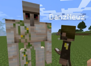 Hank and danz