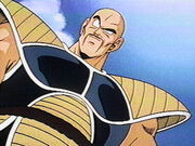 Nappa-1-