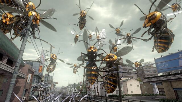 File:Hornets.jpg