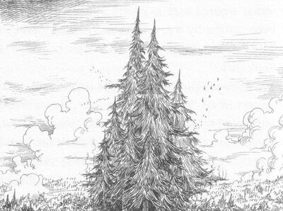 Ironwoodpines