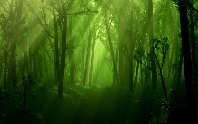 File:MysticWoods.jpg