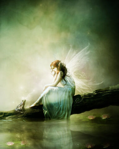 File:FairyPage.jpg