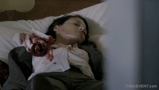 File:1.03-CollierWound.jpg
