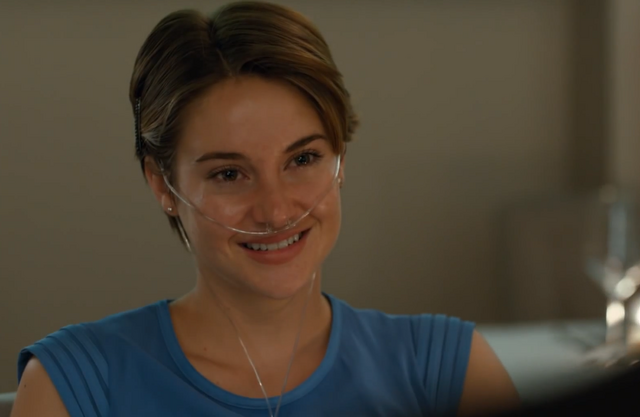 File:Hazel amsterdam.png
