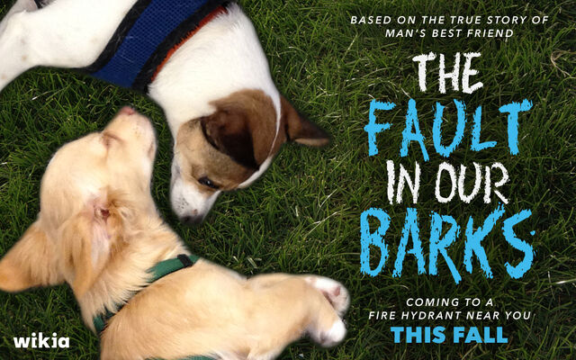 File:BARKS.jpg