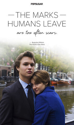 File:Best-Quotes-From-Fault-Our-Stars (7).jpg