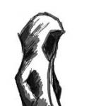 Dr0Shadow