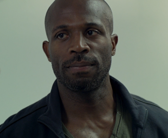 File:Troy1.png