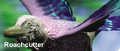 Thumbnail for version as of 14:55, September 11, 2011