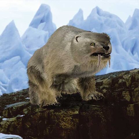File:Snowstalker-600px.jpg