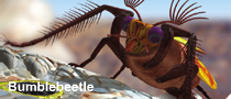 File:Bumblebeetle.png