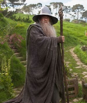 Ian-mckellen-gandalf-the-grey-the-hobbit-pic2