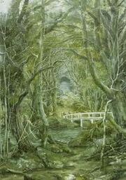 Woodland