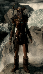 Female Armor