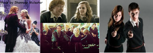 File:Fleur&Bill Ginny&Harry Hermione&Ron Luna&Neville.png