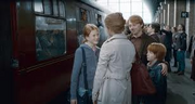 The Weasley's