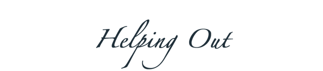 File:Helpingout.png