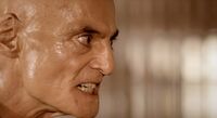 The Insanity of Bill Boss
