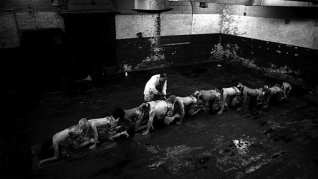 File:Centipede(II).jpg